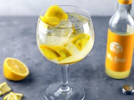 gin des lebens