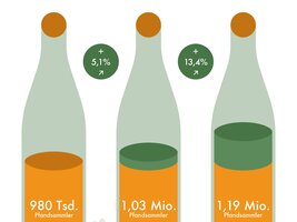 Neue Pfandstudie veröffentlicht – Zahl der Pfandsammler nimmt auch 2024 zu